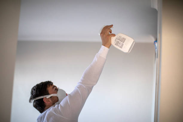 Best Attic Mold Removal  in Vidalia, LA