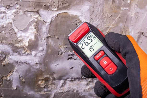 Professional Mold Removal in Vidalia, LA