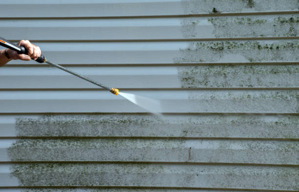 Best Mold Cleaning Services  in Vidalia, LA