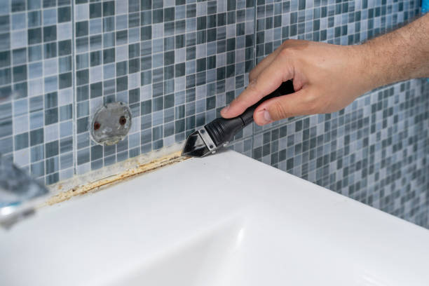 Best Mold Remediation  in Vidalia, LA